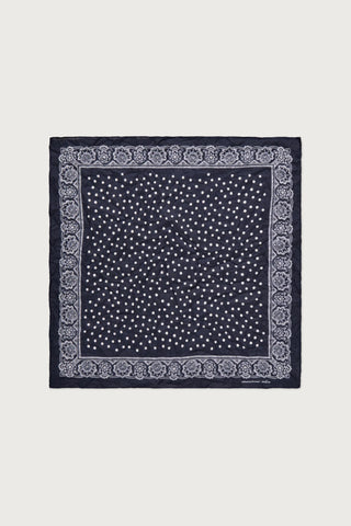 Taschentuch pois / paisley