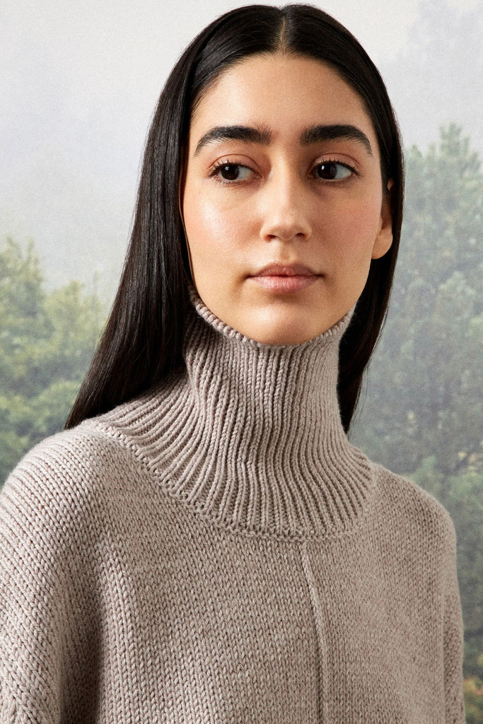 Rory Rollkragenpullover