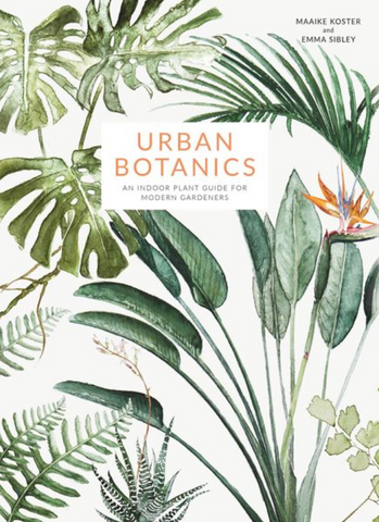 Greenery | Urban Botanics