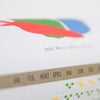 Saisonkalender